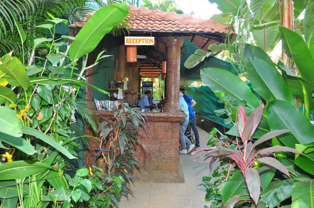 Villa Theresa Beach Resort Calangute Exterior photo
